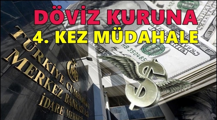 Merkez Bankası'ndan d&ouml;vize 4. m&uuml;dahale...
