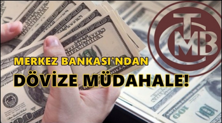 Merkez Bankası'ndan d&ouml;vize bir m&uuml;dahale daha!