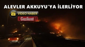 Mersin'deki yangını yön değiştirdi Akkuyu’ya ilerliyor!