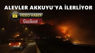 Mersin'deki yangını y&ouml;n değiştirdi Akkuyu&rsquo;ya ilerliyor!
