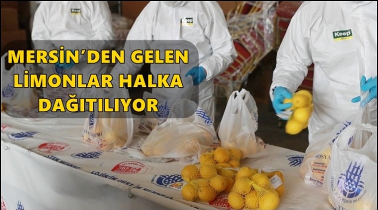 Mersin'den gelen limonlar dağıtıma &ccedil;ıktı