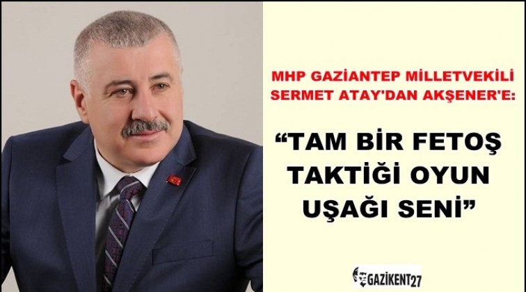 MHP'li Atay'dan Akşener'e olay yaratacak s&ouml;zler