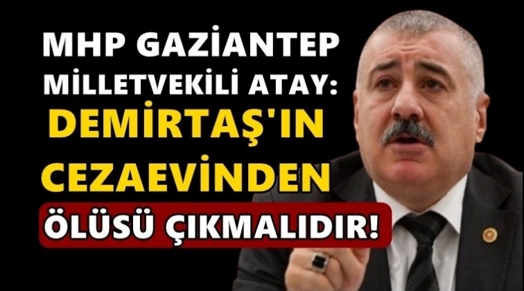 MHP'li vekil: Demirtaş'ın cezaevinden ölüsü çıkmalı!