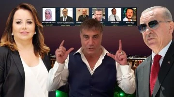 Mine Tozlu Sineren: Amacım cumhurbaşkanına ulaşmaktı!