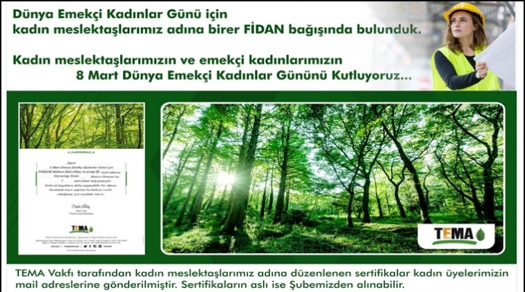 MMO'dan TEMA'ya fidan bağışı