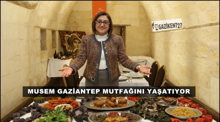 MUSEM, amat&ouml;r aş&ccedil;ılara kapısını a&ccedil;tı