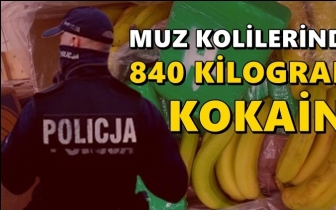 Muz kolilerinde 840 kilogram kokain ele geçti!