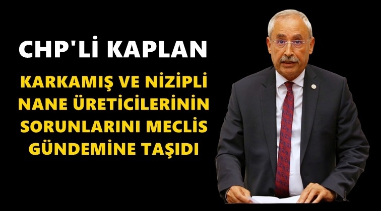 Nane &uuml;reticilerinin sorunları Meclis&rsquo;te...