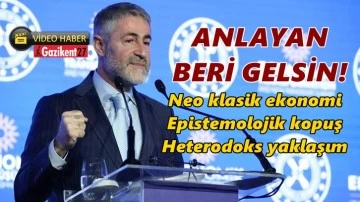 Nebati: Neo klasik, epistemolojik, heterodoks, n&ouml;ro ekonomi...