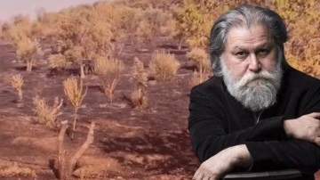 Nesin Vakfı&rsquo;nın zeytinlikleri kundaklandı!