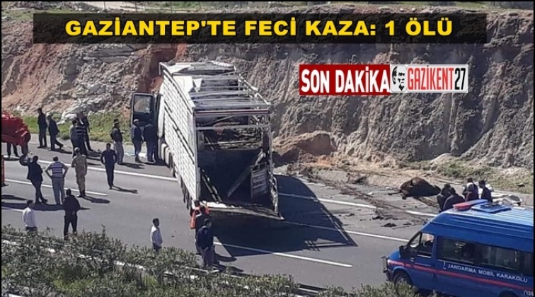 Nizip&rsquo;te TIR ref&uuml;je &ccedil;arptı: 1 &ouml;l&uuml;