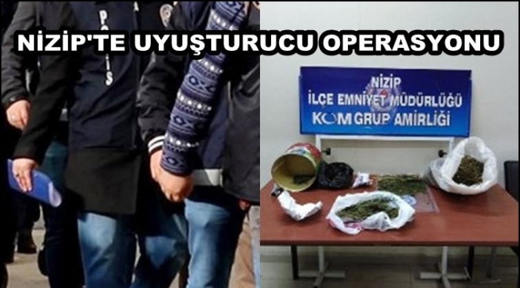 Nizip'te uyuşturucu operasyonu 4 g&ouml;zaltı