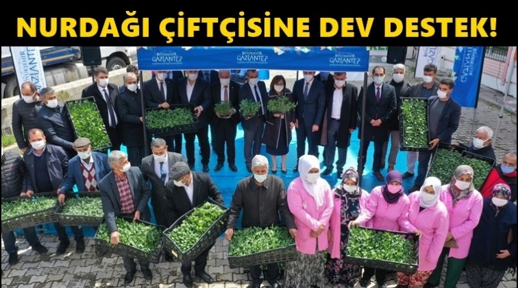 Nurdağı &ccedil;ift&ccedil;isine 4 milyon biber fidesi