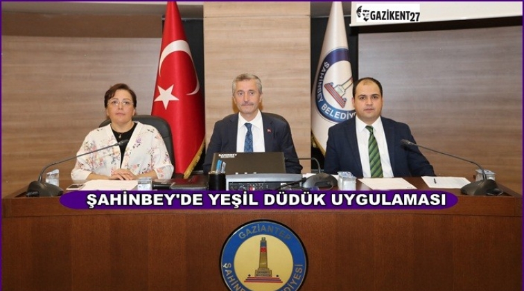 Okullarda yeşil d&uuml;d&uuml;k uygulaması