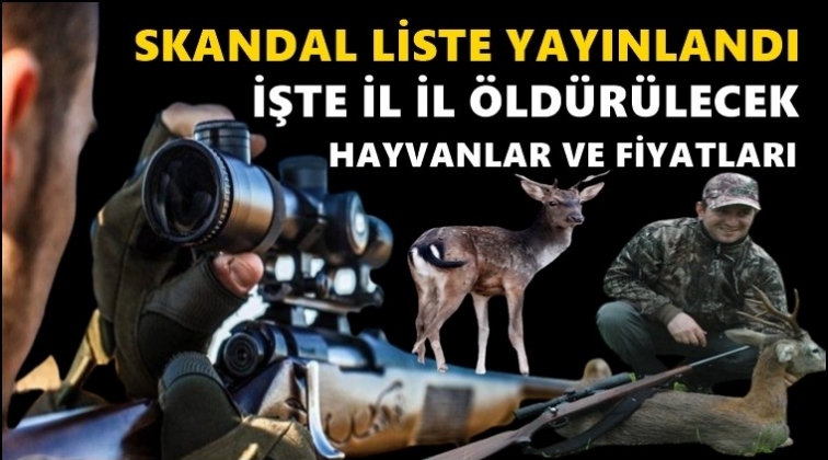 &Ouml;ld&uuml;r&uuml;lecek hayvanlar ve &uuml;cretleri a&ccedil;ıklandı!