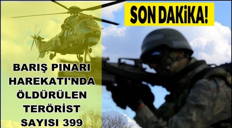 &Ouml;ld&uuml;r&uuml;len ter&ouml;rist sayısı 399 oldu