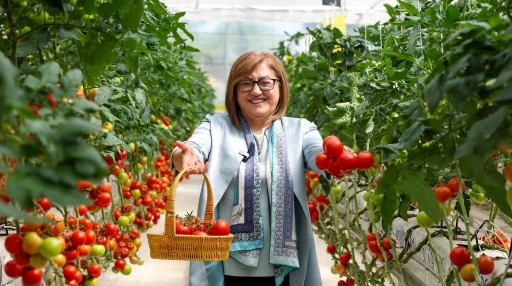 Organik &uuml;retimle yılda 28 ton hasat