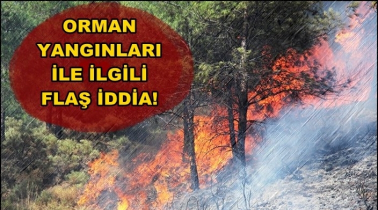Orman yangınlarını kim &uuml;stlendi? Flaş iddia...