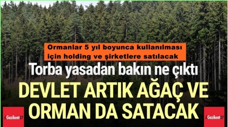 Ormanlar satışa çıkarılıyor!..