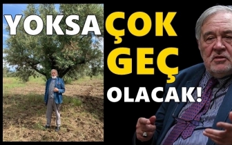 Ortaylı'dan 'zeytinlik' tepkisi: &Ccedil;ok ge&ccedil; olacak...