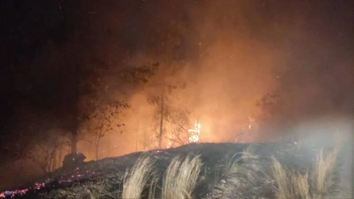 Osmaniye ve Mersin’deki yangınlar kontrol altına alındı