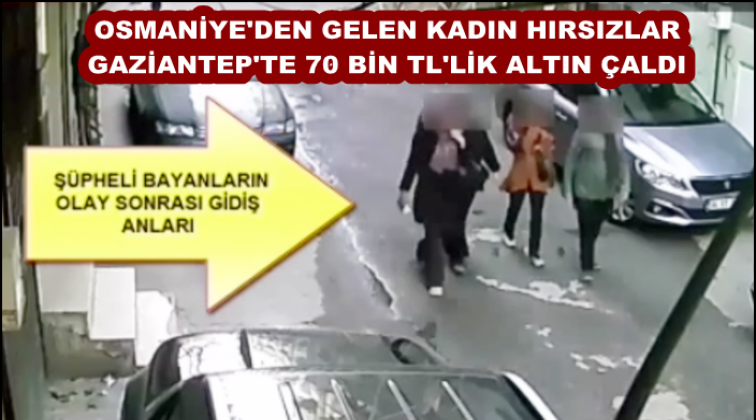 Osmaniye'den gelip &ccedil;alıp gittiler