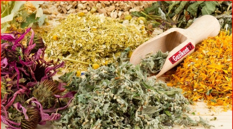 Otlarla tedavinin telafisi yok