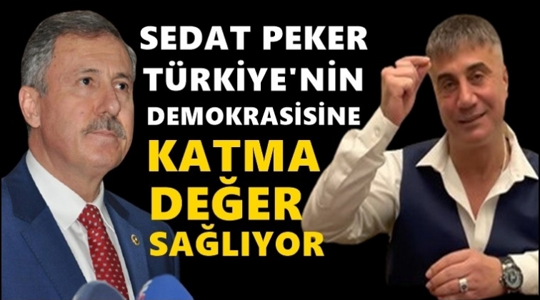 &Ouml;zdağ: Sedat Peker, T&uuml;rk demokrasisine katma değer sağlıyor