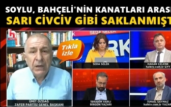 &Ouml;zdağ: Soylu, sarı civciv gibi saklanmıştır!