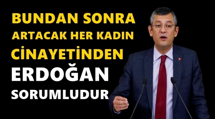 &Ouml;zel: Bundan sonra Erdoğan sorumludur