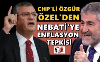 &Ouml;zg&uuml;r &Ouml;zel, Nebati'ye sert tepki...