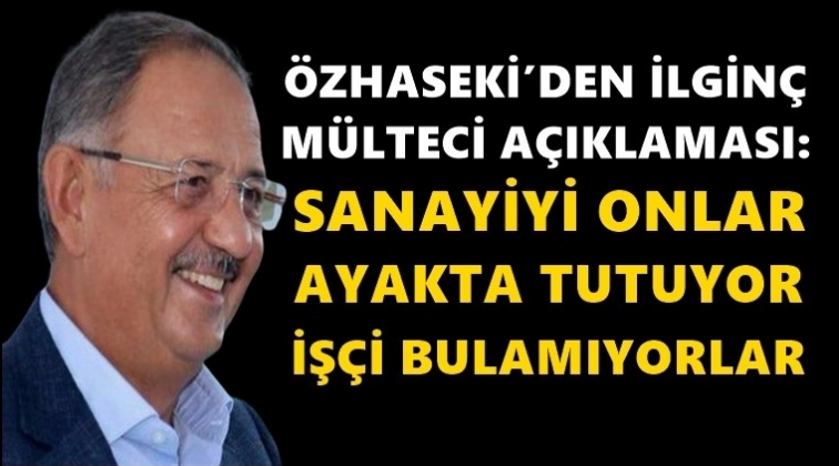 &Ouml;zhaseki: Sanayiyi g&ouml;&ccedil;menler ayakta tutuyor!..