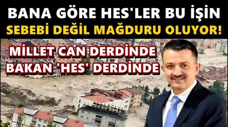 Pakdemirli: Bana g&ouml;re HES'ler bu işin sebebi&nbsp;değil mağduru!