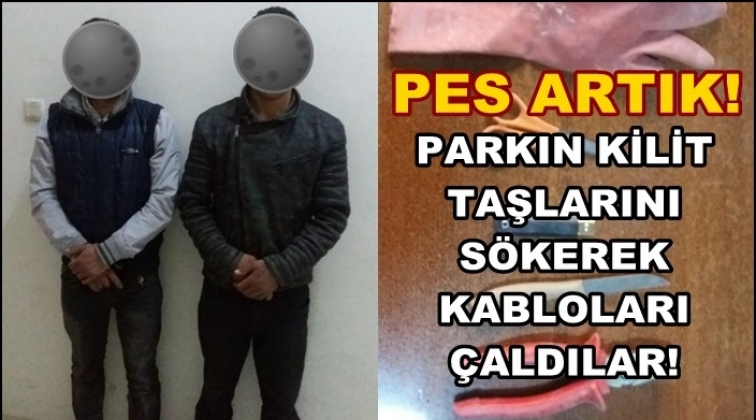 Parkın kilit taşlarını s&ouml;k&uuml;p kabloları &ccedil;aldılar!