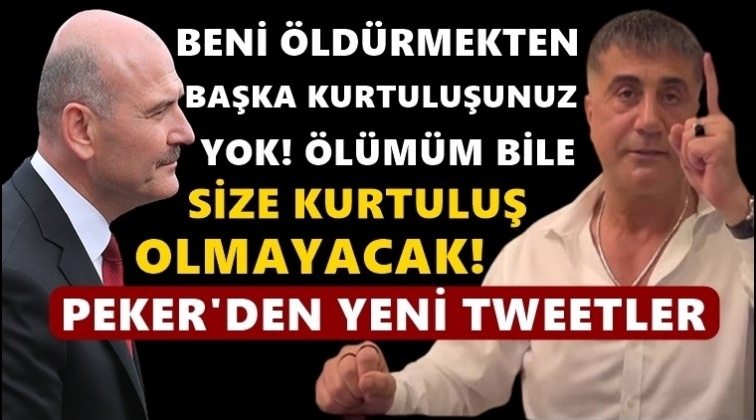 Peker: Beni &ouml;ld&uuml;rmekten başka kurtuluşunuz yok!