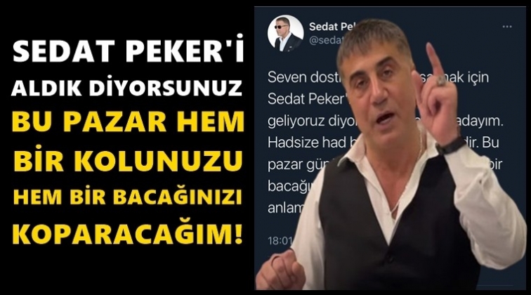 Peker: Hem kolunuzu hem bacağınızı koparacağım!