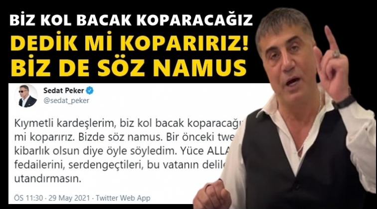 Peker: Kol-bacak koparacağız dediysek koparırız!