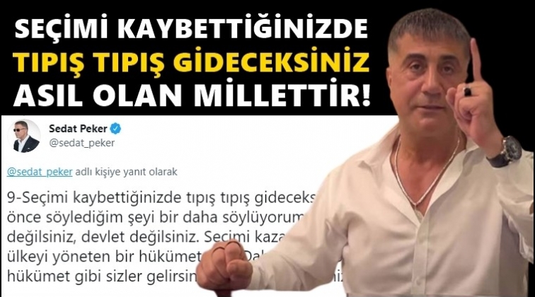 Peker: Se&ccedil;imi kaybettiğinizde tıpış tıpış gideceksiniz!