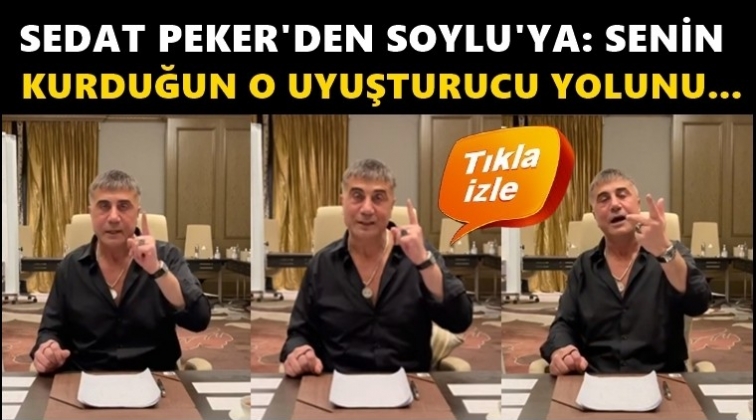 Peker'den Soylu'ya: O uyuşturucu yolunu anlatacağım