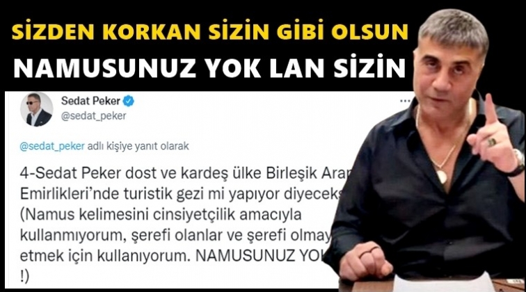 Peker'den Birleşik Arap Emirlikleri paylaşımı...