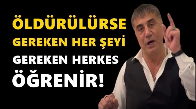 Peker'in danışmanı: &Ouml;ld&uuml;r&uuml;l&uuml;rse herkes her şeyi &ouml;ğrenir