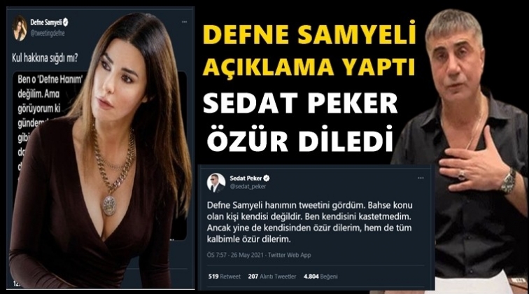 Peker'in 'Defne' tweetinin ardından flaş a&ccedil;ıklama...