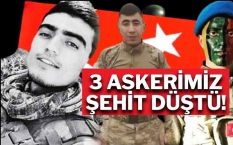 Pen&ccedil;e-Kilit operasyonunda 3 asker şehit oldu!
