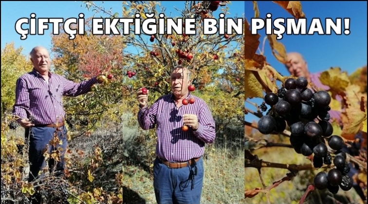 Peri: Yanlış tarım politikaları &ccedil;ift&ccedil;iyi bitirdi!