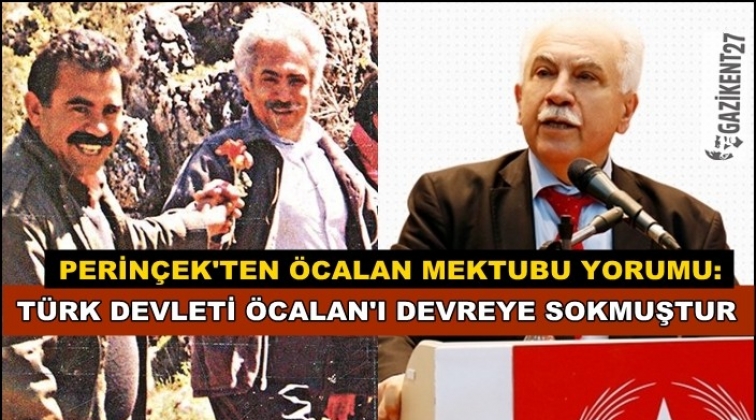 Perinçek: Türk devleti Öcalan'ı devreye sokmuştur!