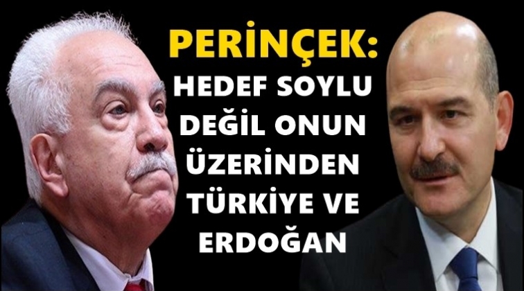 Perin&ccedil;ek'ten Soylu'ya tam destek...