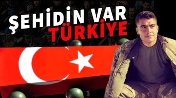 Piyade Uzman Çavuş Kadir Dingil şehit oldu!