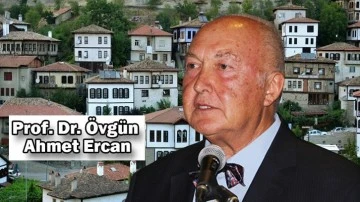 Prof. Dr. Ercan, depreme karşı en g&uuml;venli evleri a&ccedil;ıkladı