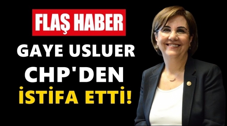 Prof. Gaye Usluer, CHP&rsquo;den istifa etti...