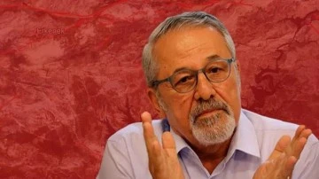 Prof. Naci G&ouml;r&uuml;r: O partiye oy verin...